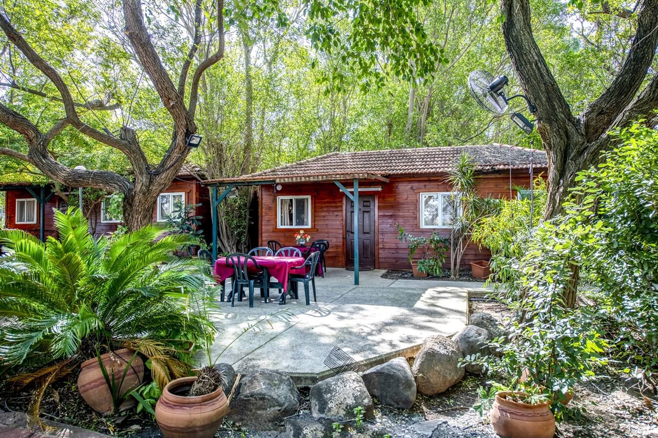 תמונה של משולב - 7