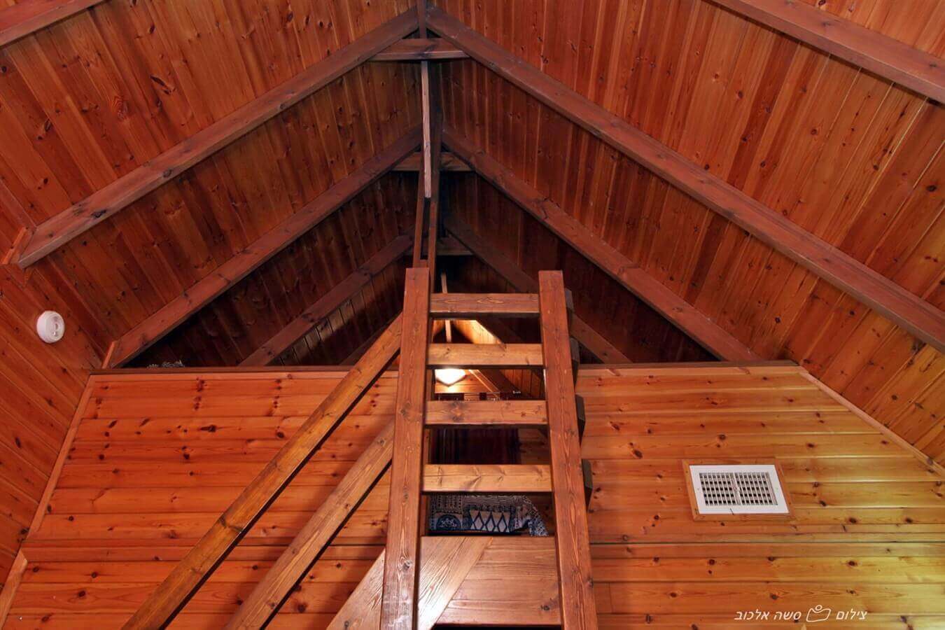 תמונה של רימון ואלון - 6