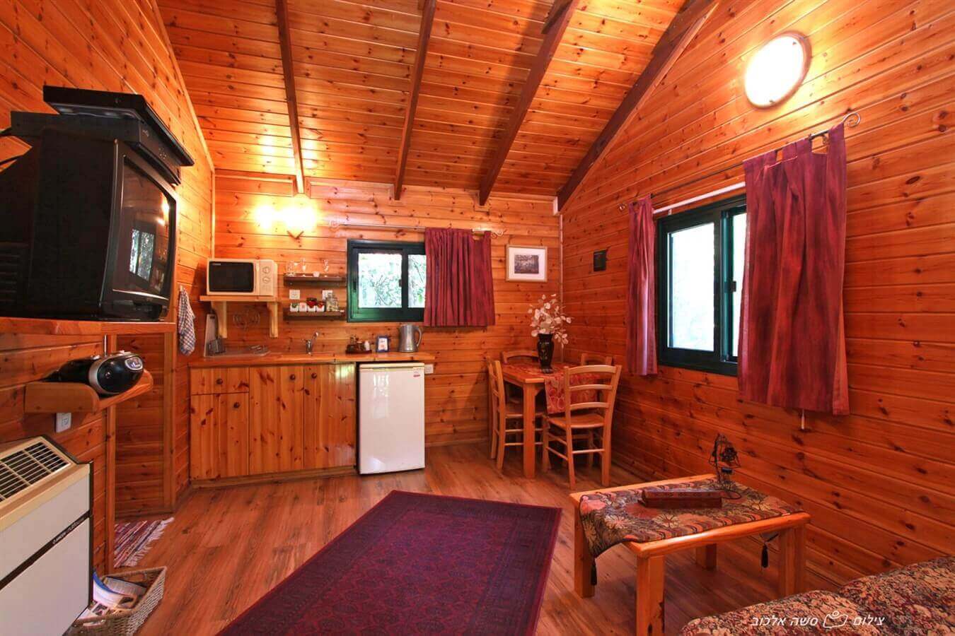 תמונה של תמר - 2