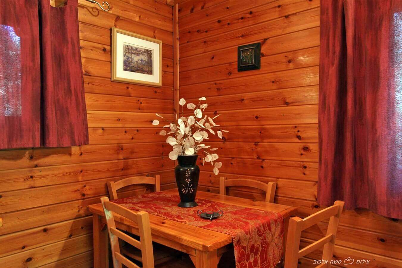 תמונה של תמר - 4