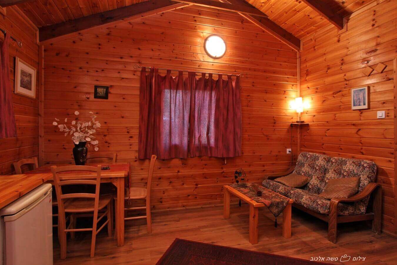 תמונה של תמר - 9