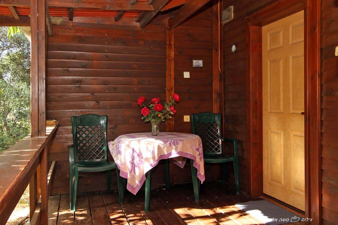 תמונה של תמר - 10