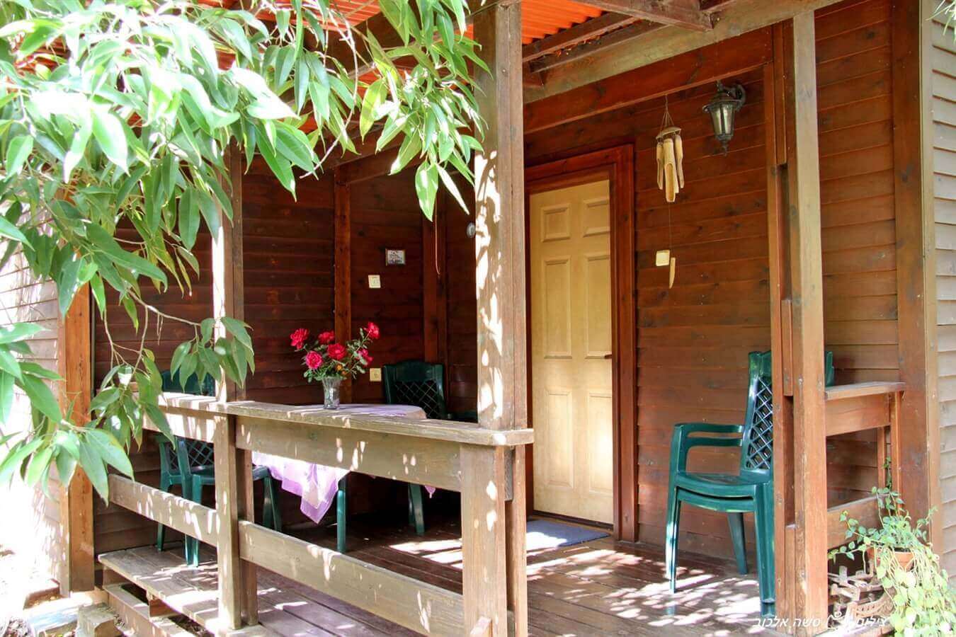 תמונה של תמר - 6