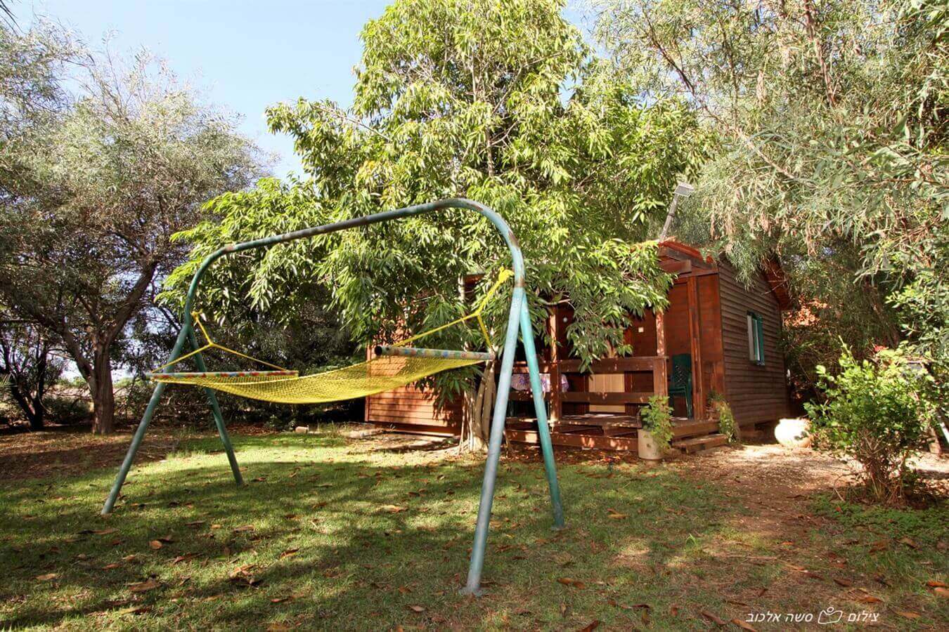 תמונה של תמר - 8