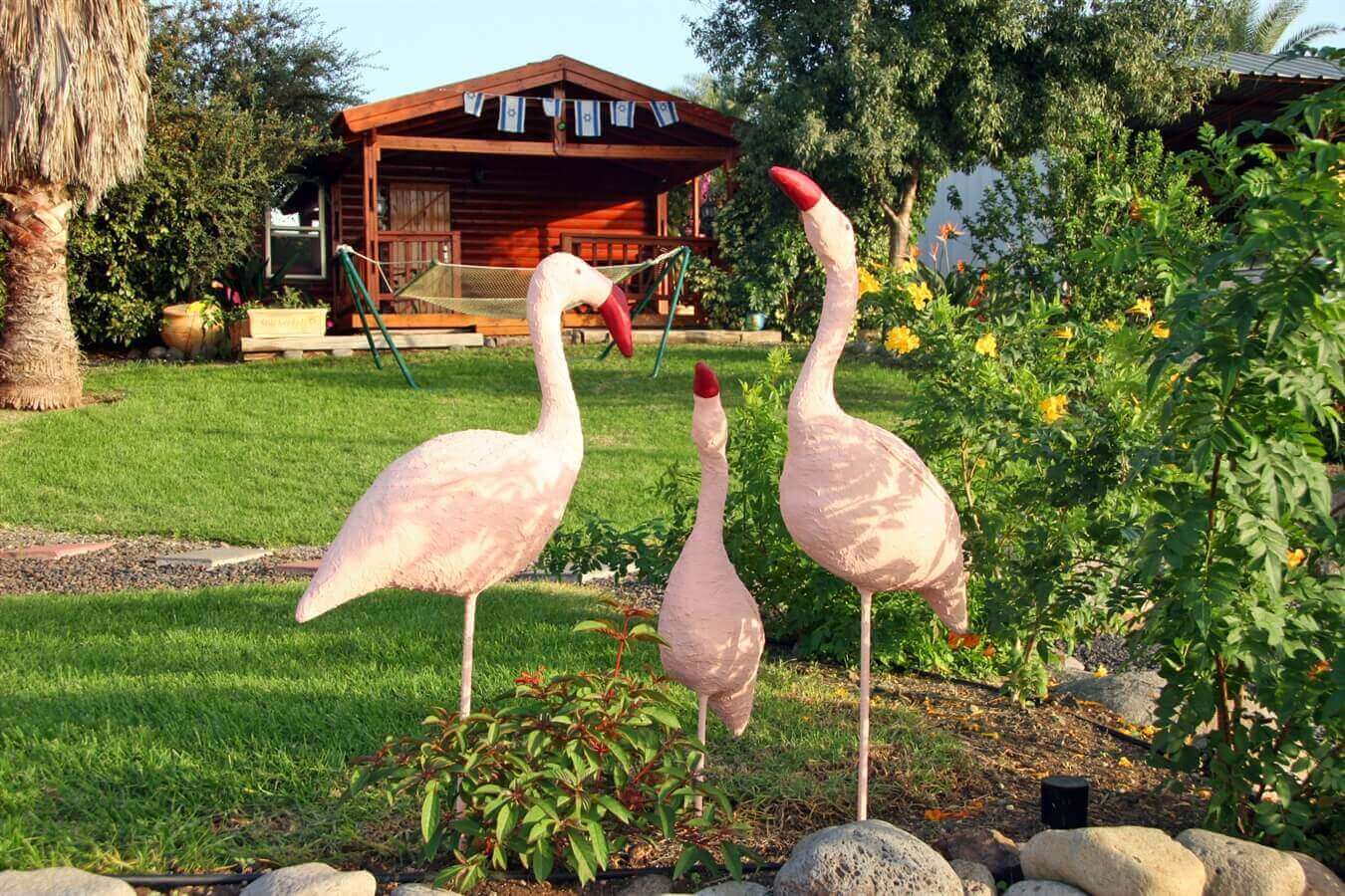 תמונה של בקתה זוגית - 10 תמונה של בקתה זוגית - 10