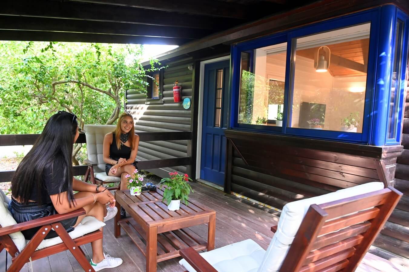 תמונה של בקתת העץ - 8 תמונה של בקתת העץ - 8