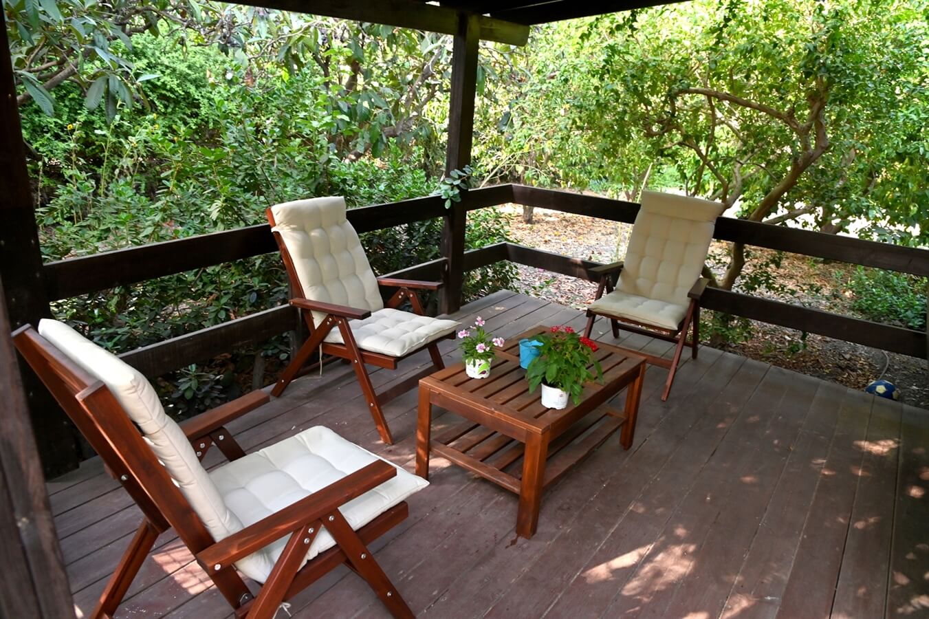 תמונה של בקתת העץ - 1 תמונה של בקתת העץ - 1