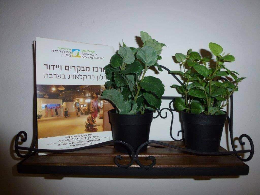 תמונה של הסוויטה הזוגית - 9