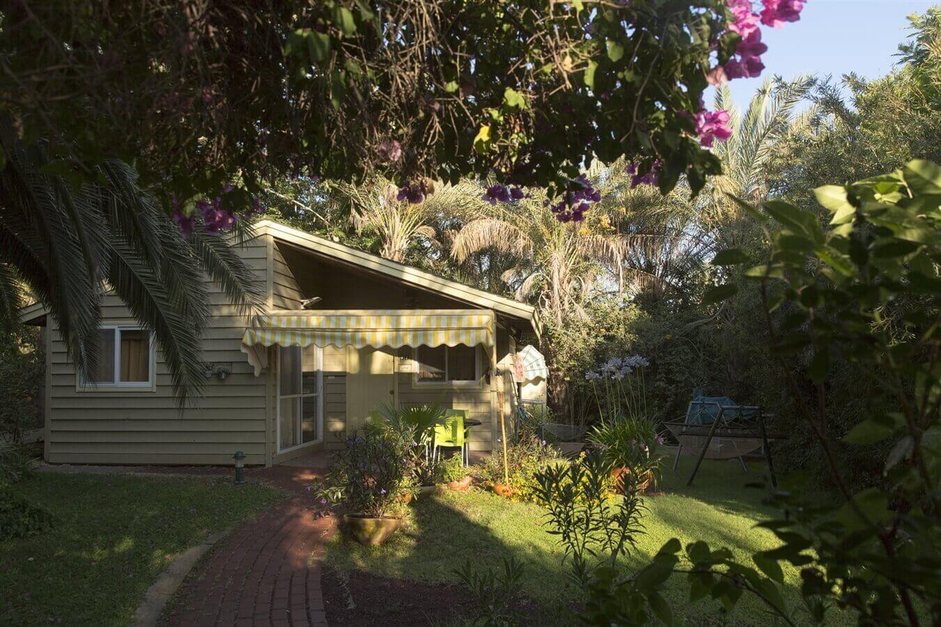 תמונה של סוויטת אלונה - 7