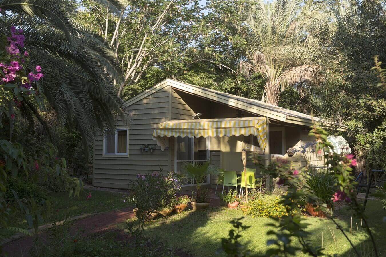 תמונה של סוויטת אלונה - 6