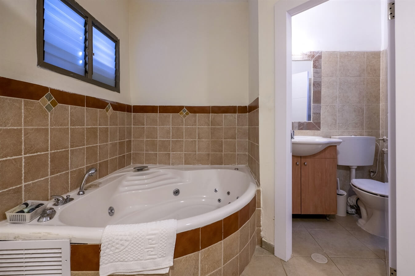 תמונה של גפן ודקל - 6