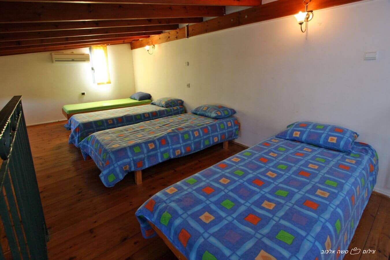 תמונה של רימון ותאנה - 8