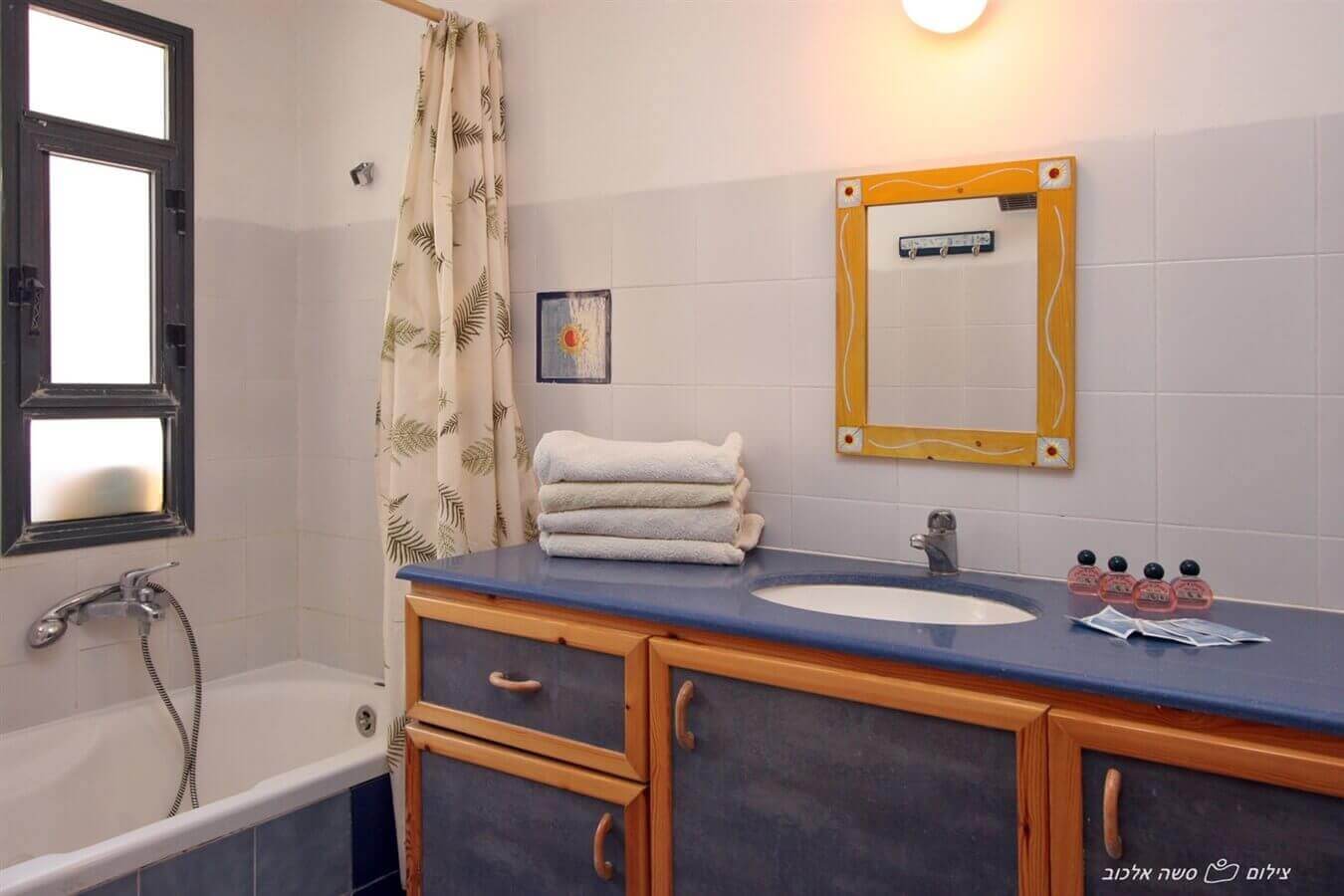 תמונה של רימון ותאנה - 9