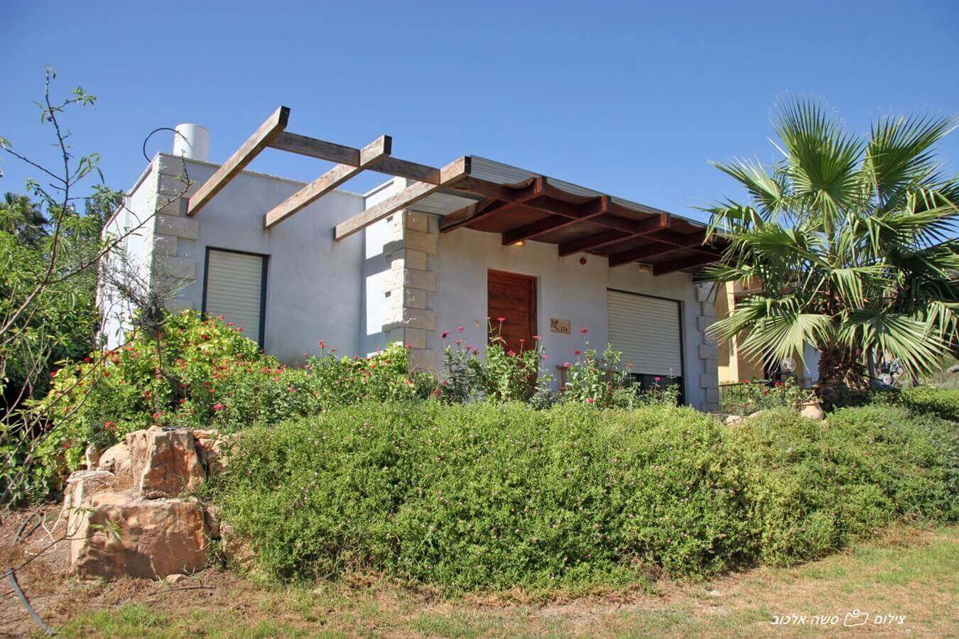 תמונה של גפן - 7