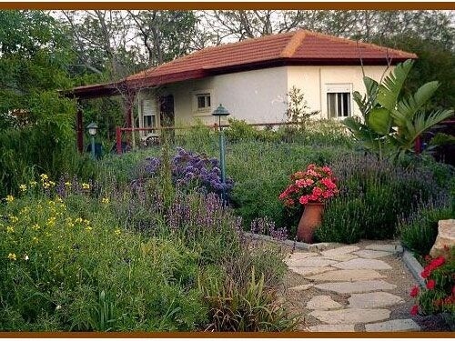 תמונה שצולמה בנענעים- משפחת ברקן - 1 תמונה של נענעים- משפחת ברקן - 1