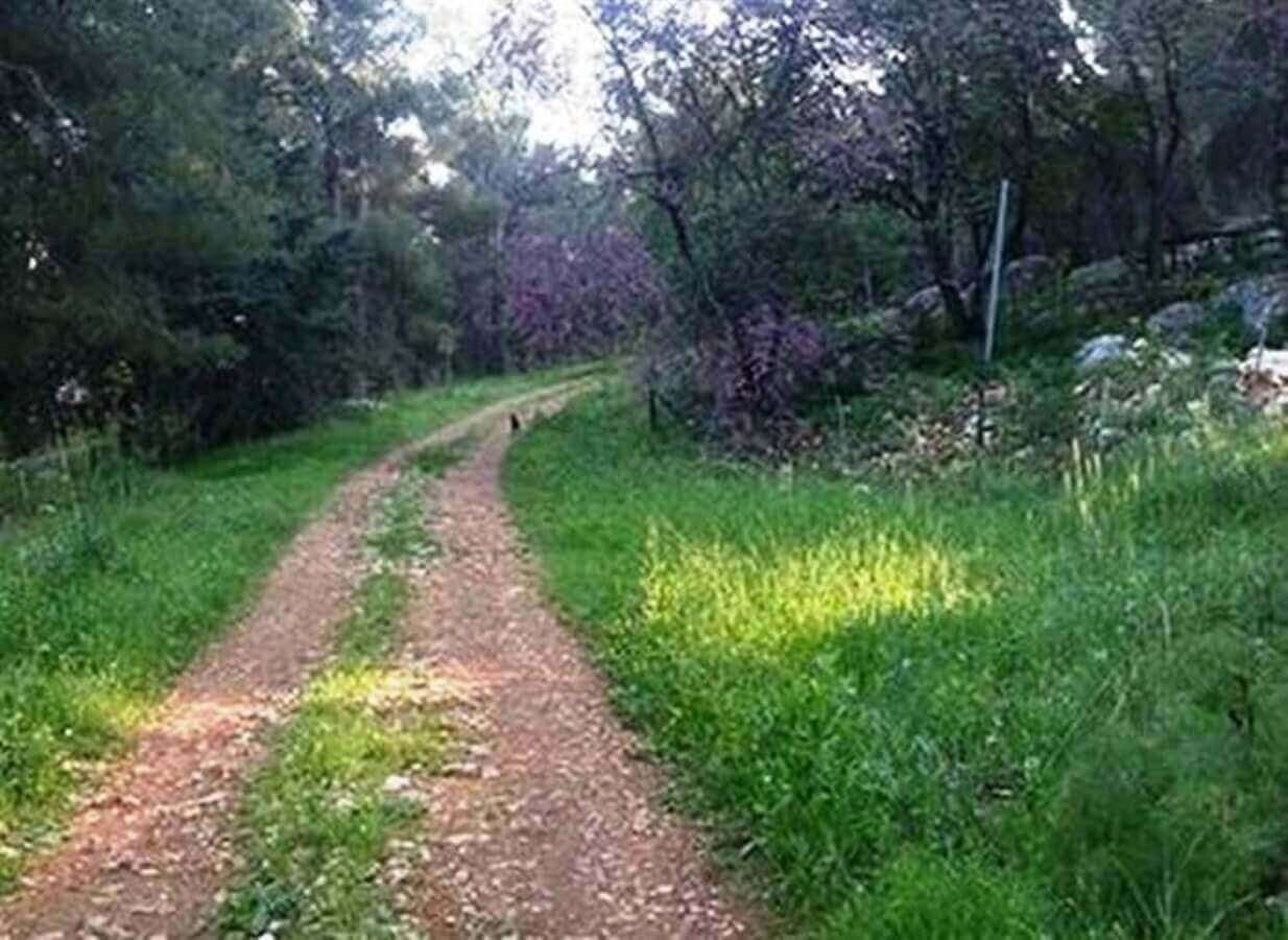 תמונה של הבקתות המבודדות - 7