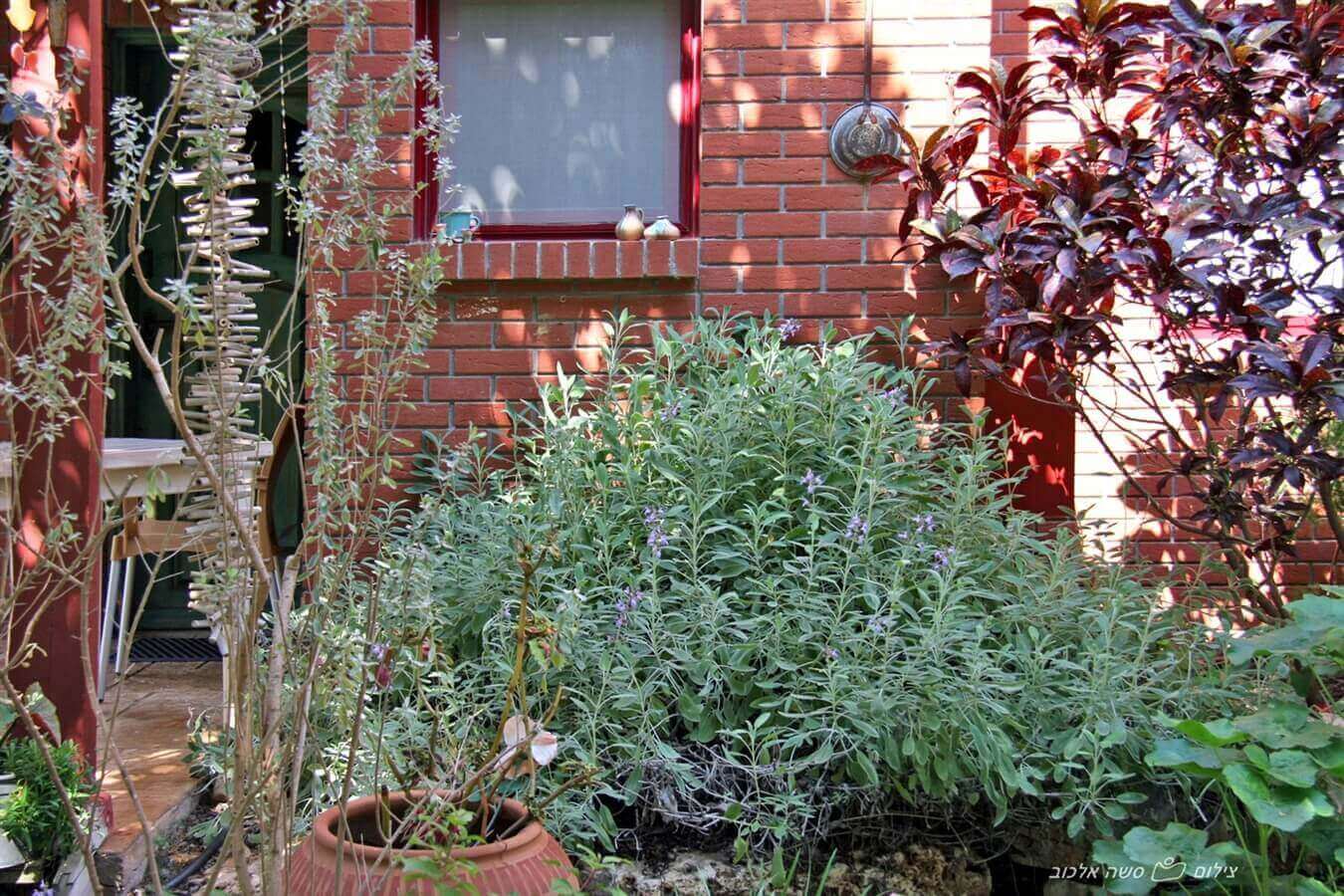 תמונה של הבקתה המשפחתית - 13