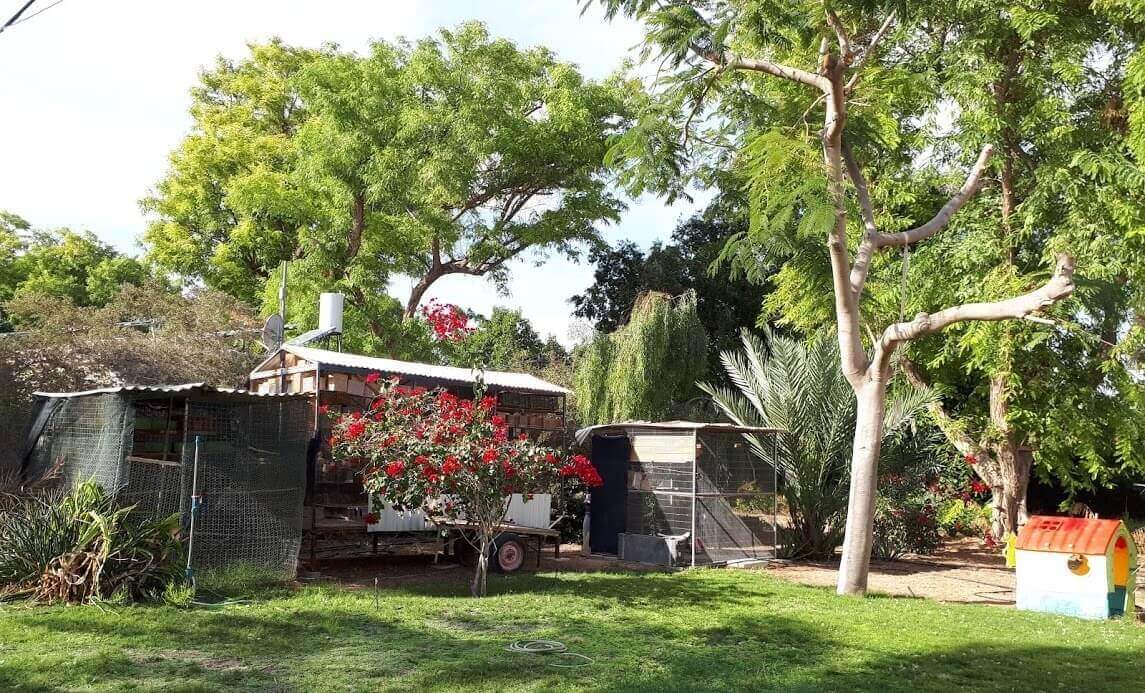 תמונה של צימרים זוגיים - 8