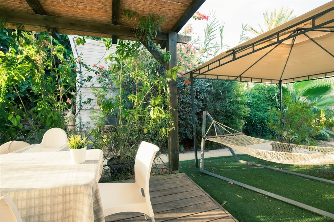 תמונה של שיזף - 6 תמונה של שיזף - 6