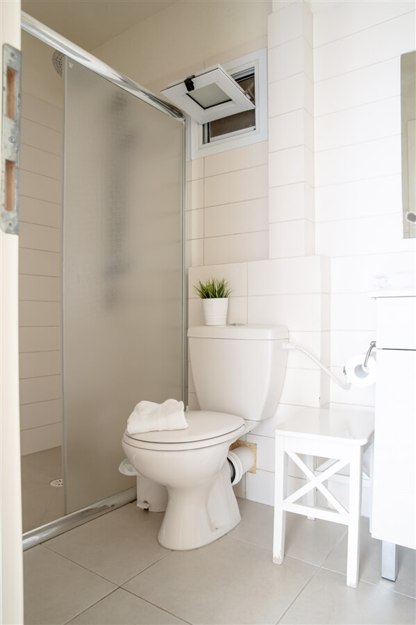 תמונה של צין - 7 תמונה של צין - 7