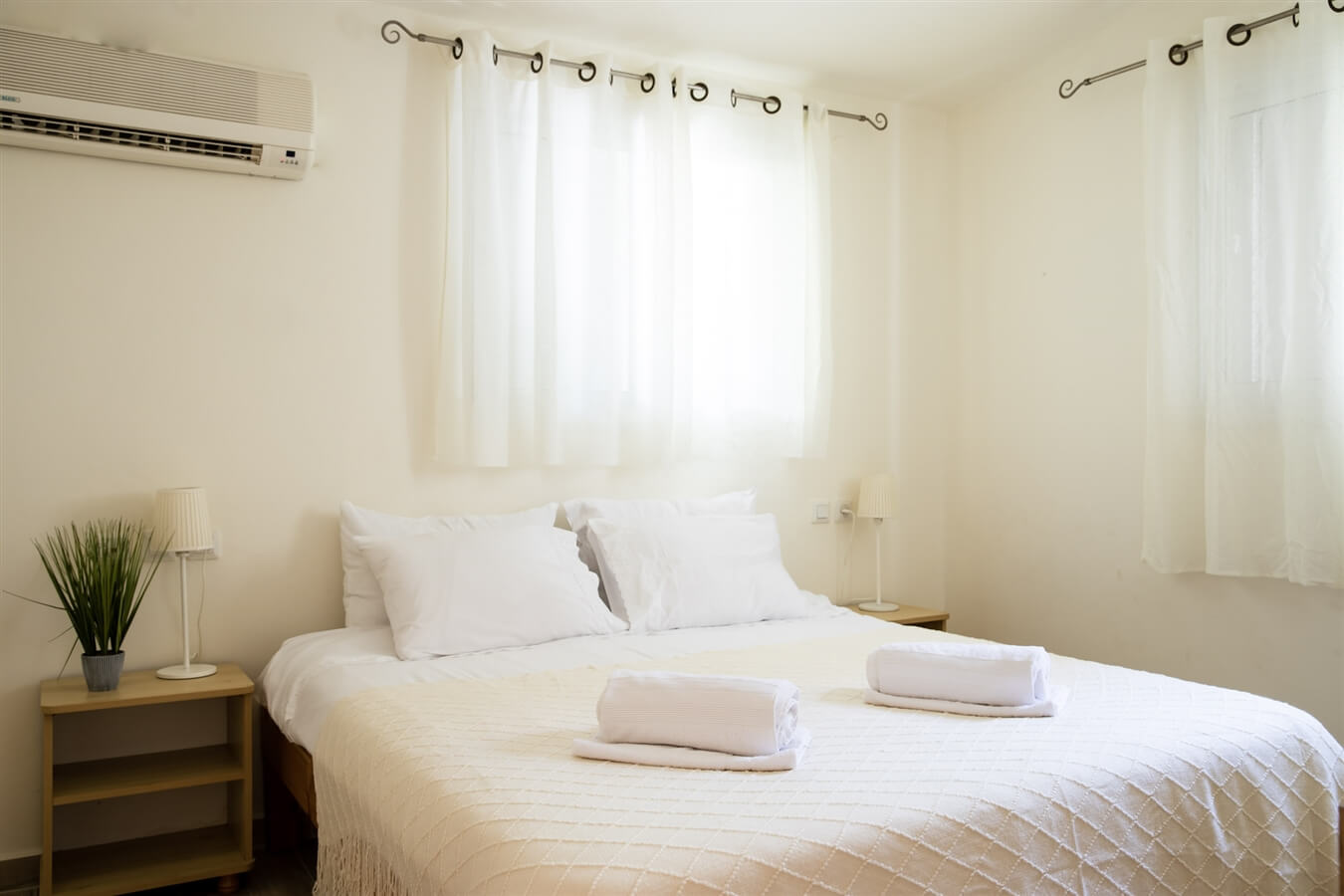 תמונה של שיזף - 1 תמונה של שיזף - 1