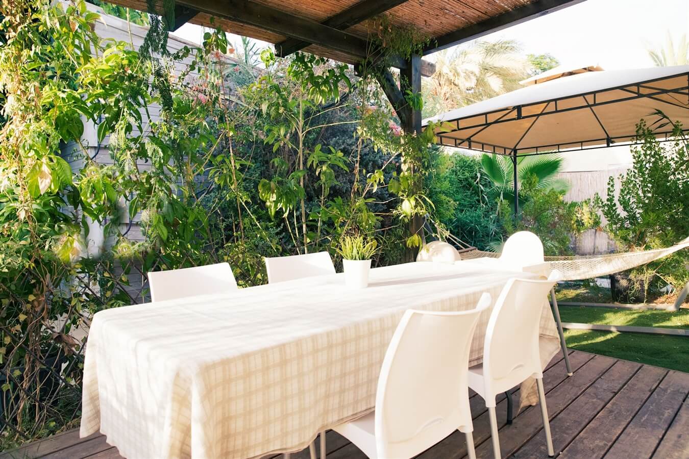 תמונה של שיזף - 7 תמונה של שיזף - 7