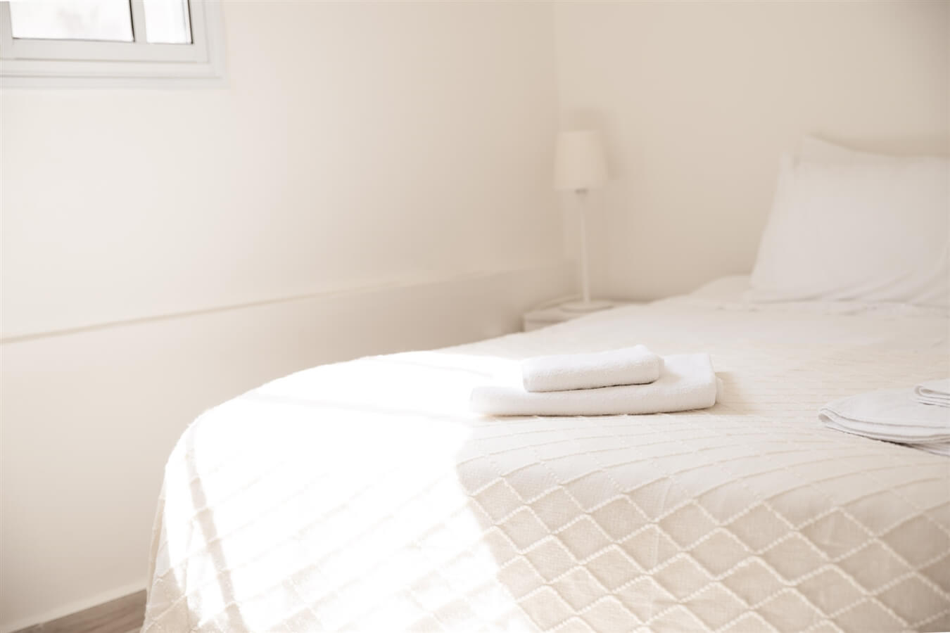 תמונה של צין - 4 תמונה של צין - 4