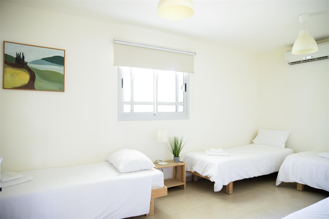 תמונה של זוהר - 3 תמונה של זוהר - 3