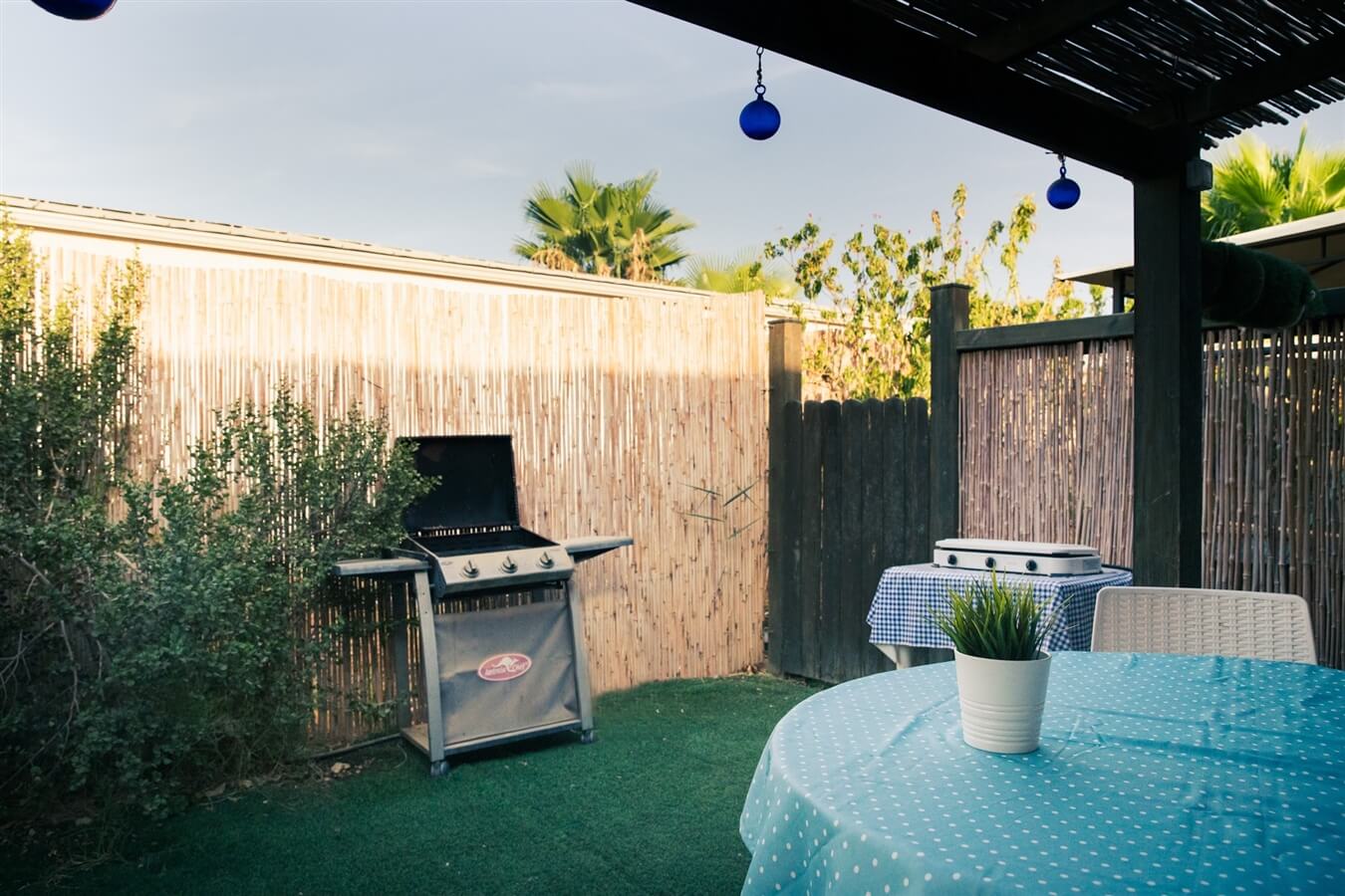 תמונה של תמר - 5 תמונה של תמר - 5