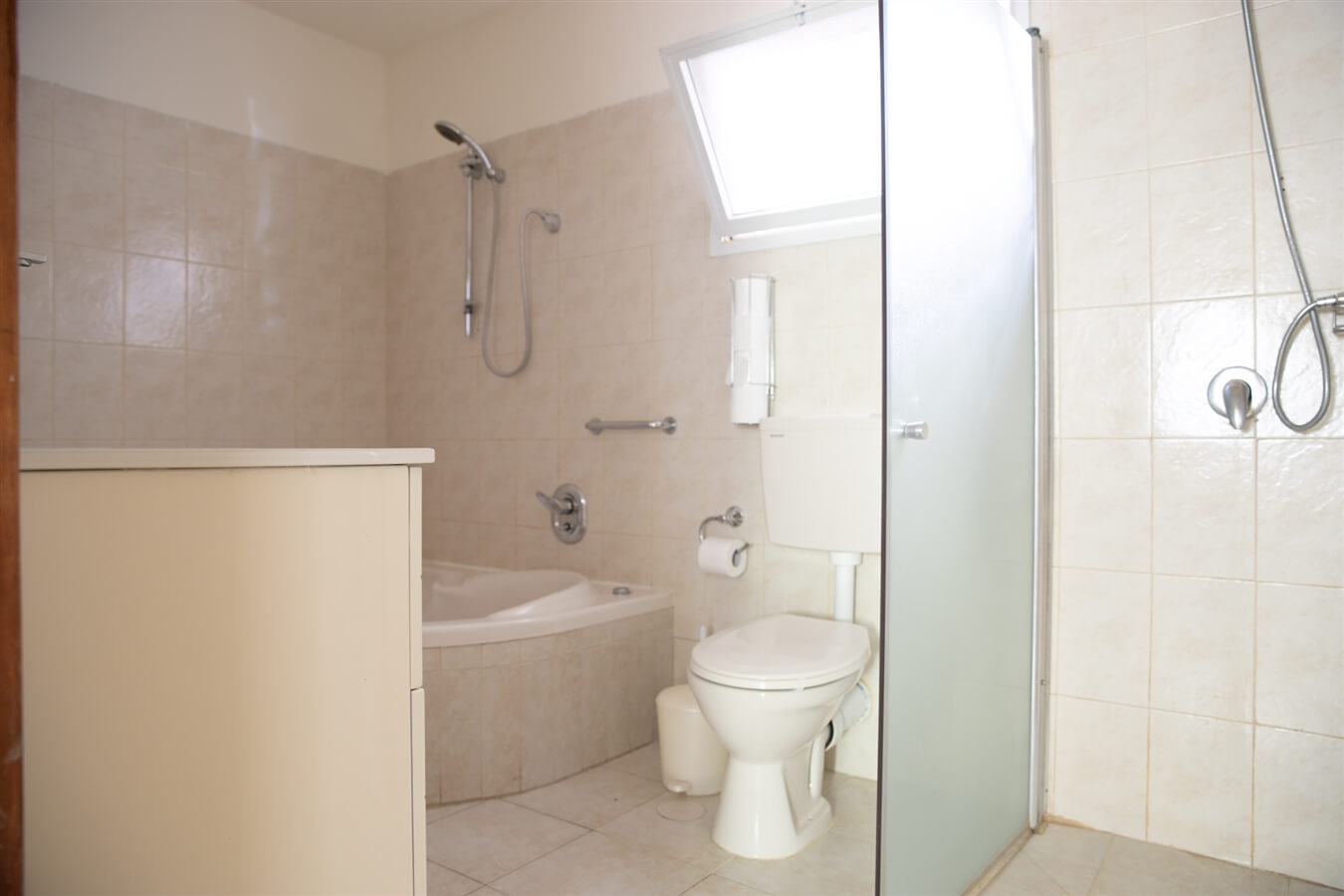 תמונה של שיזף - 5 תמונה של שיזף - 5