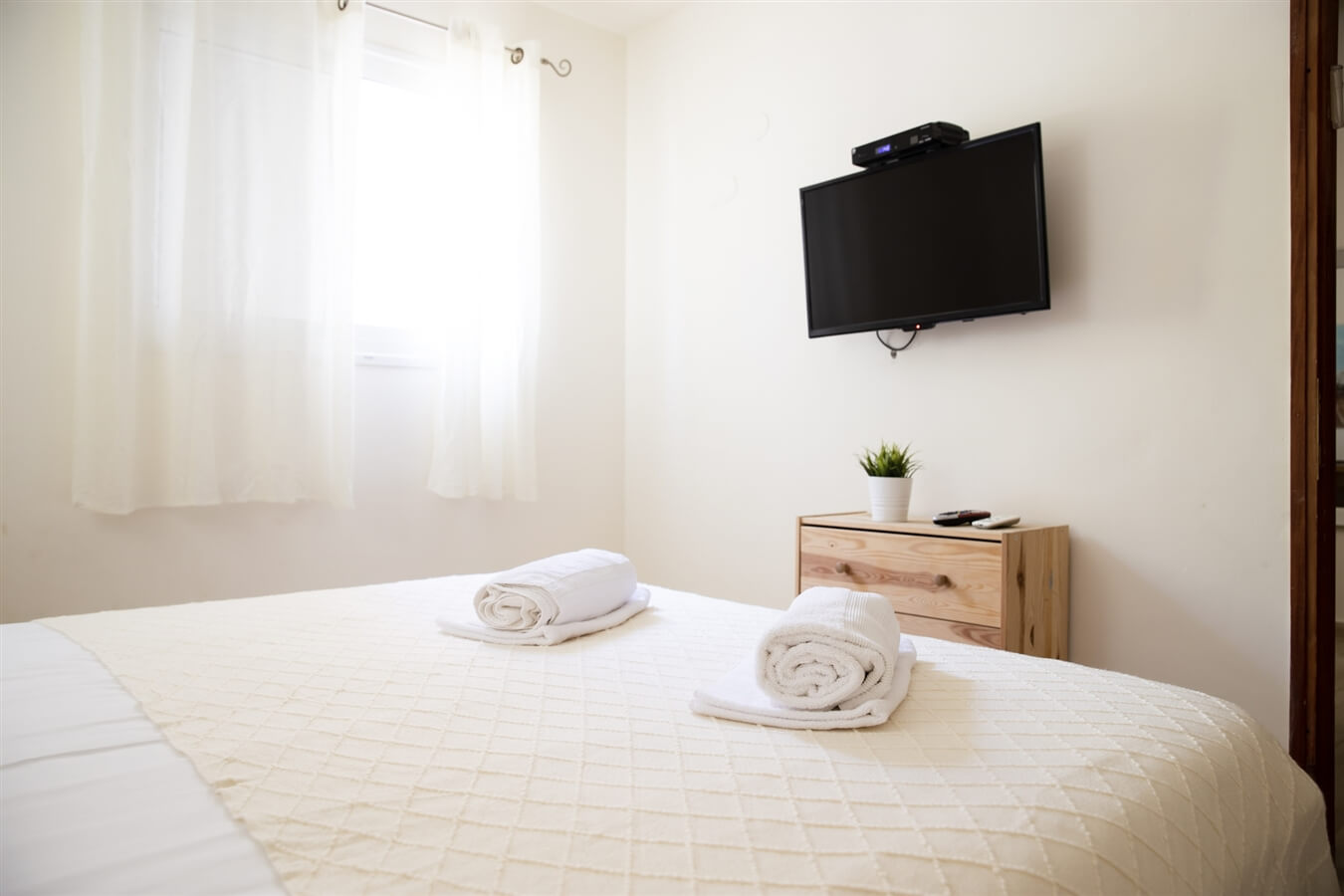 תמונה של שיזף - 3 תמונה של שיזף - 3