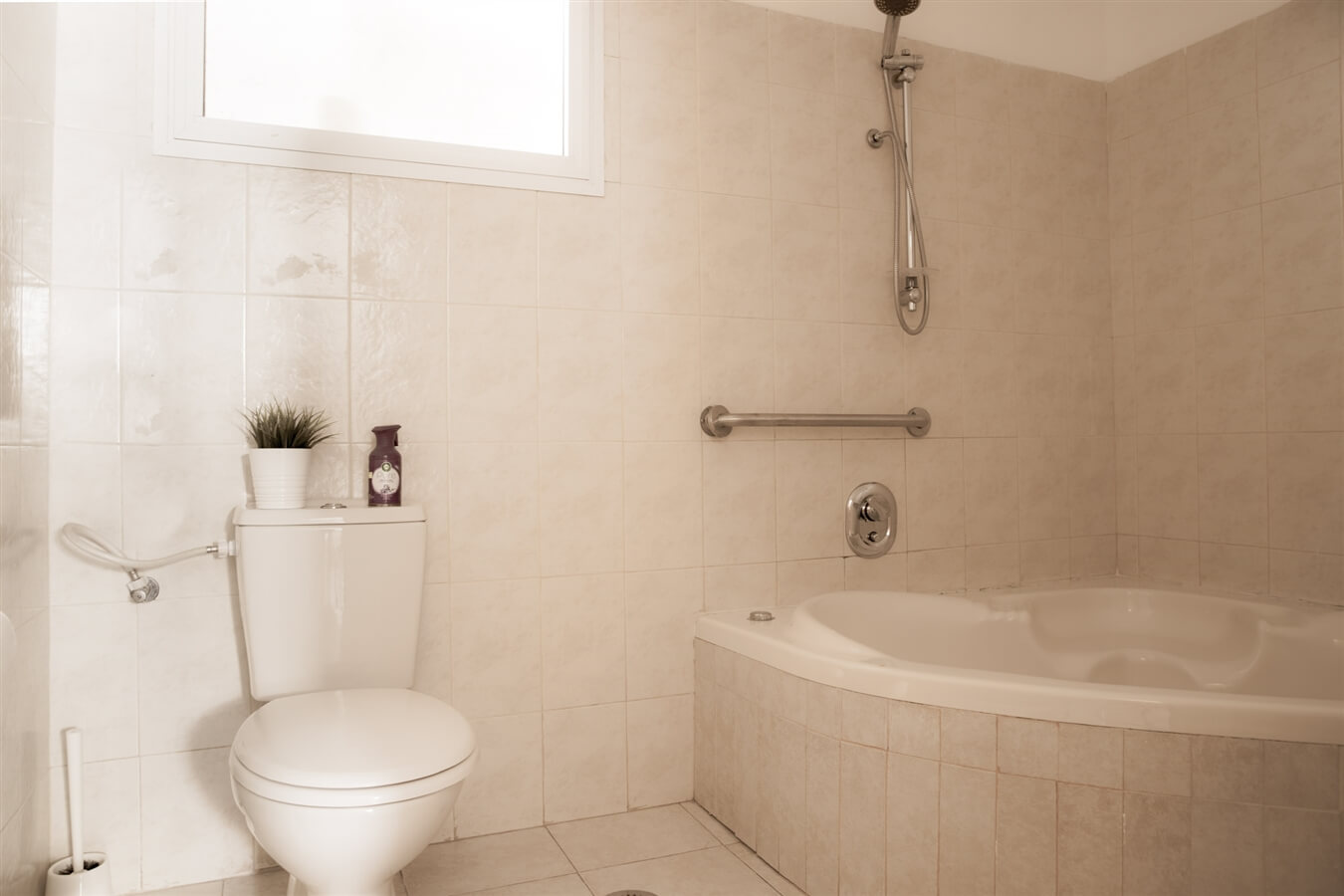 תמונה של תמר - 4 תמונה של תמר - 4