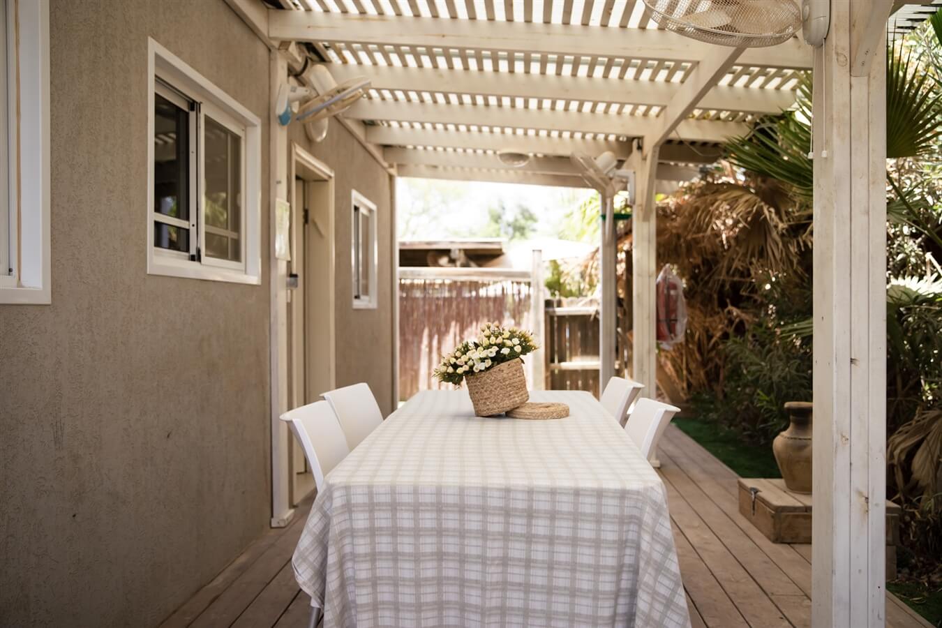 תמונה של צין - 8 תמונה של צין - 8