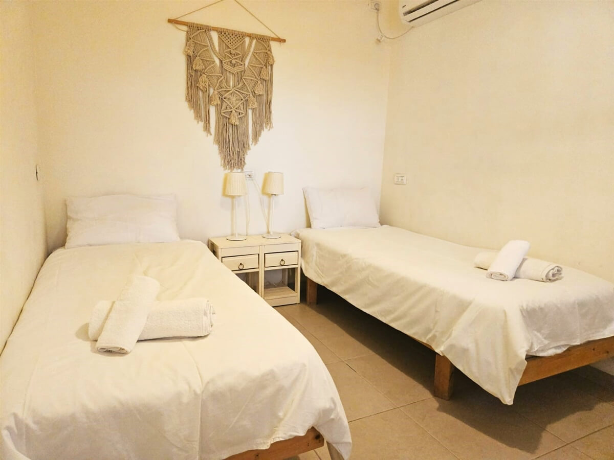 תמונה של צין - 3 תמונה של צין - 3