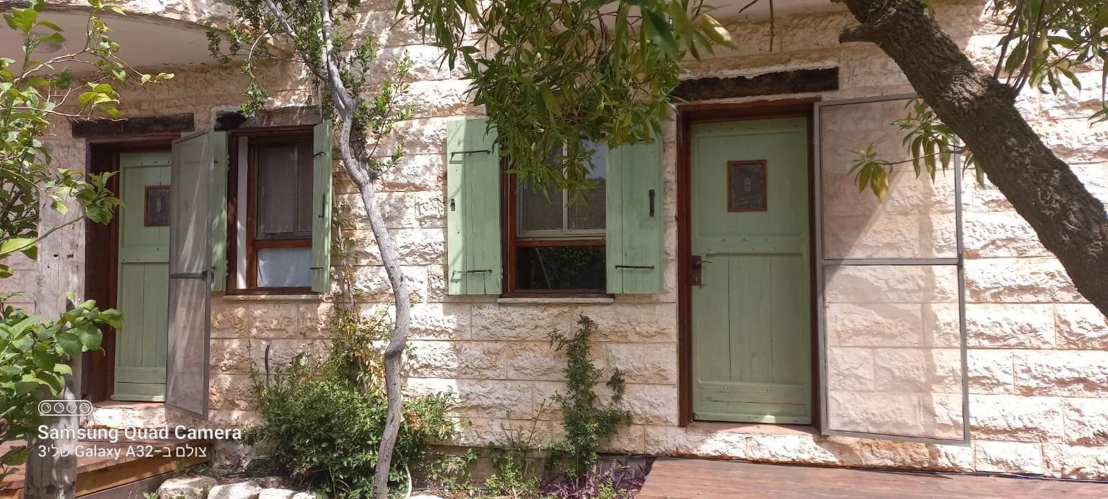 תמונה של אלון - 1 תמונה של אלון - 1