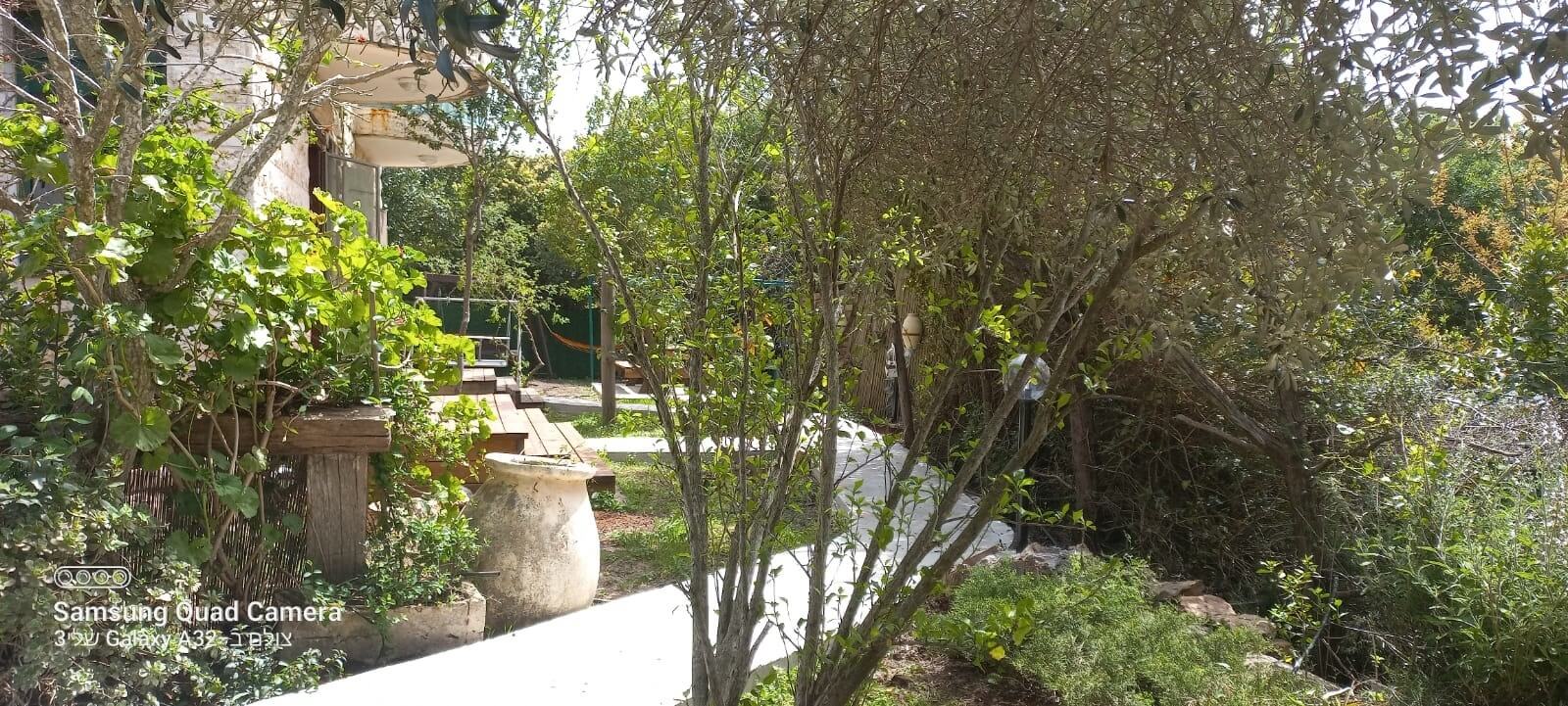 תמונה של אלון - 8 תמונה של אלון - 8