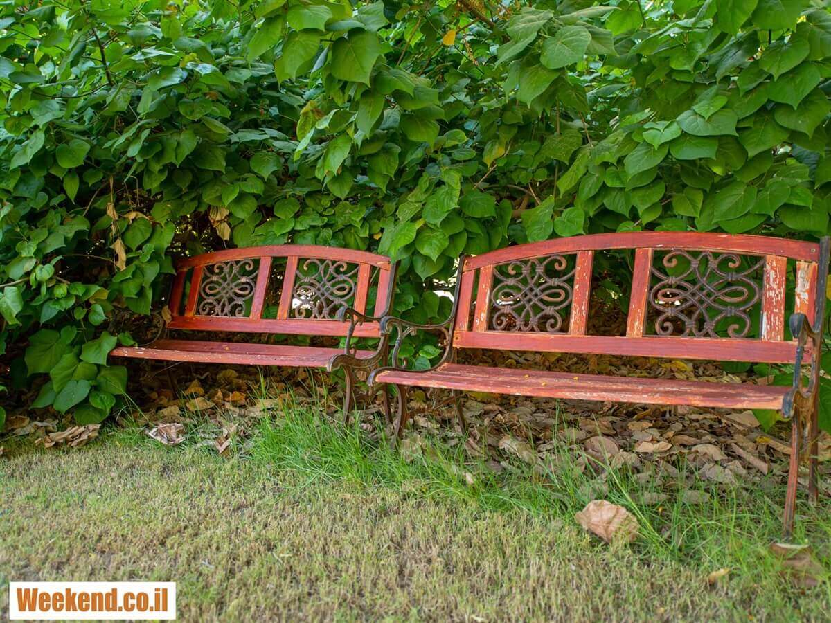 תמונה של הבקתות - 11