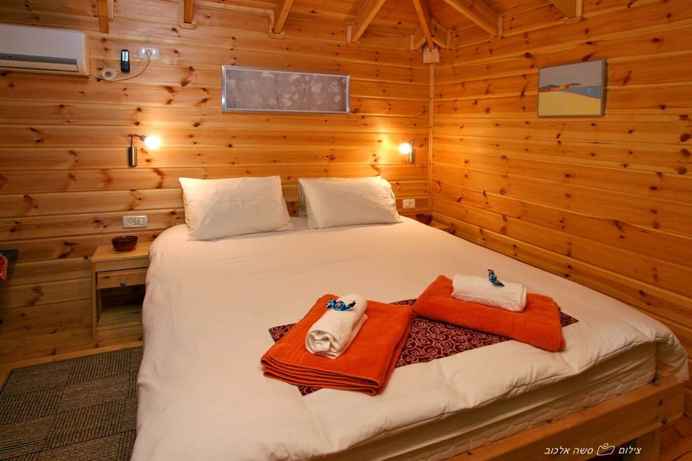 תמונה של התמר והתאנה - 8