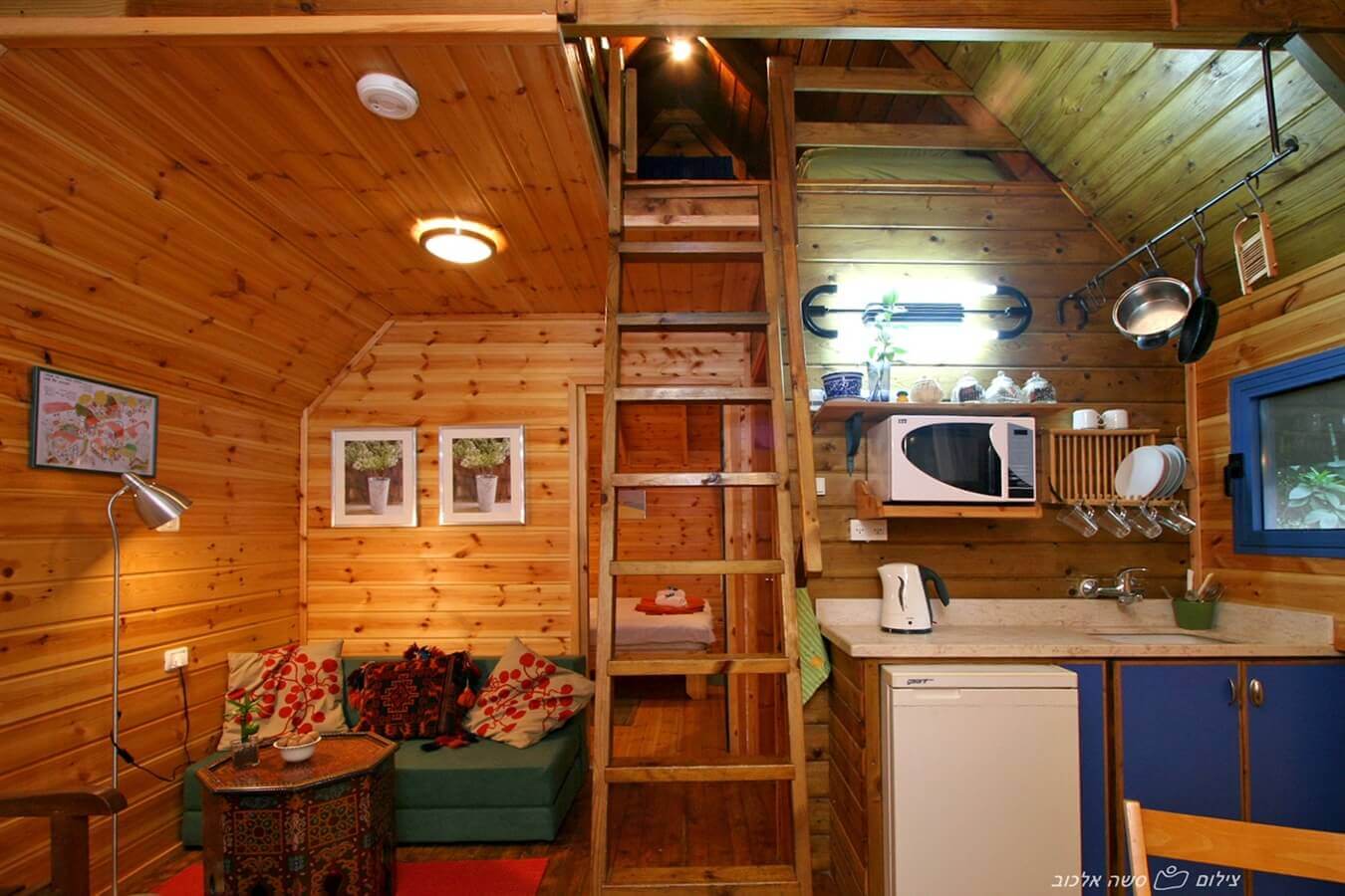 תמונה של התמר והתאנה - 9