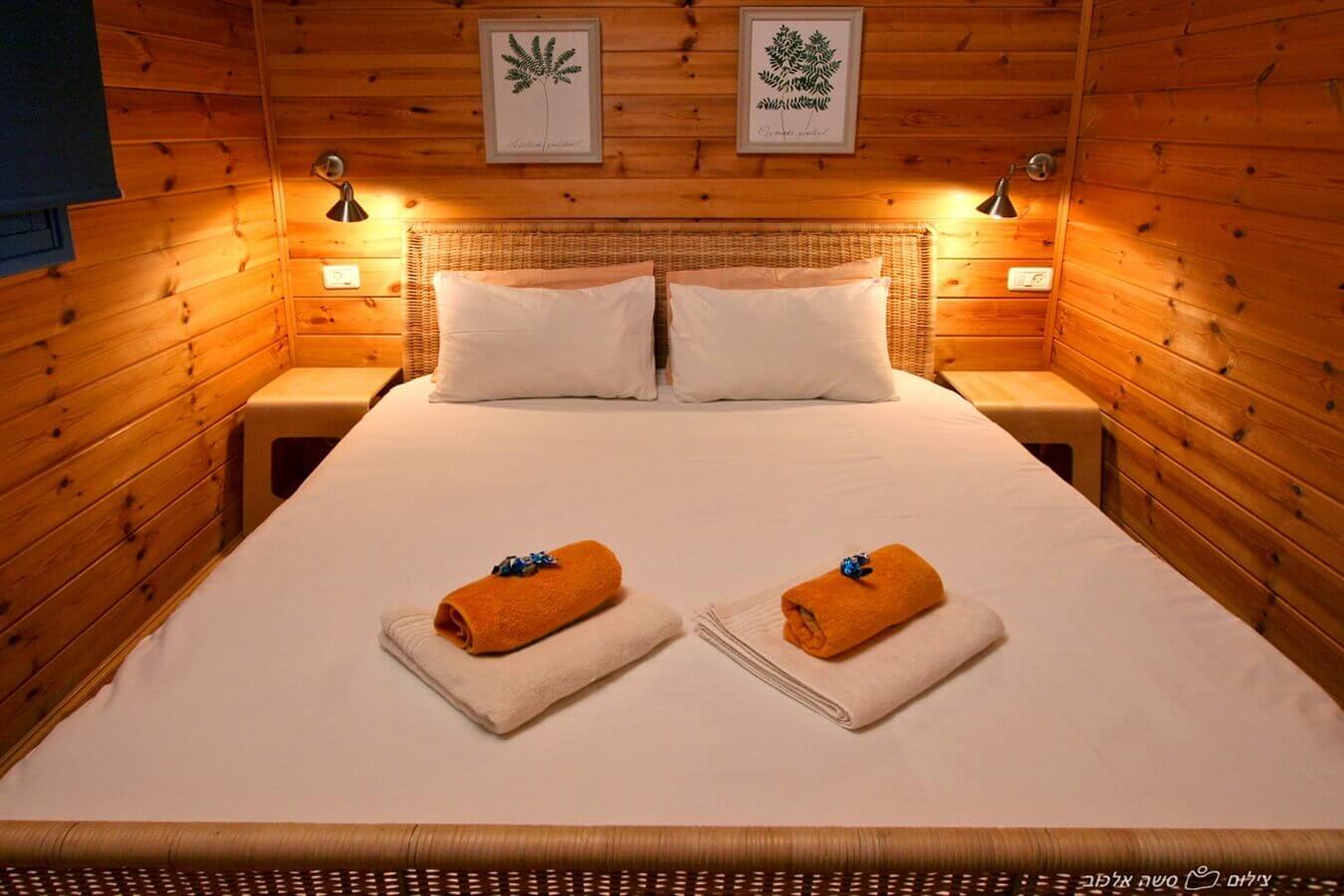 תמונה של הרימון - 2