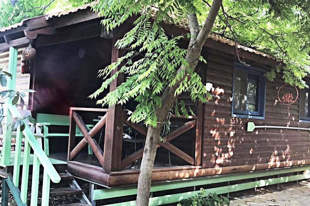 תמונה של הרימון - 10