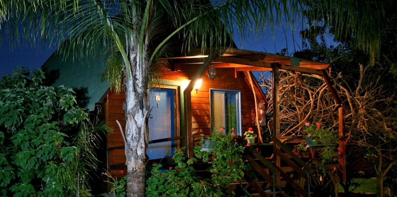 תמונה של התמר והתאנה - 6