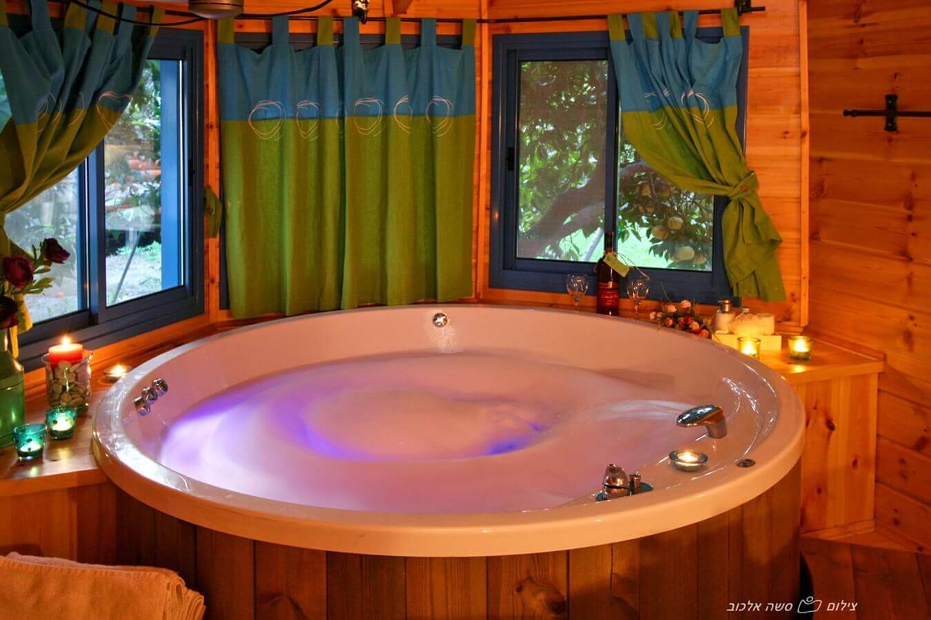 תמונה של התמר והתאנה - 5