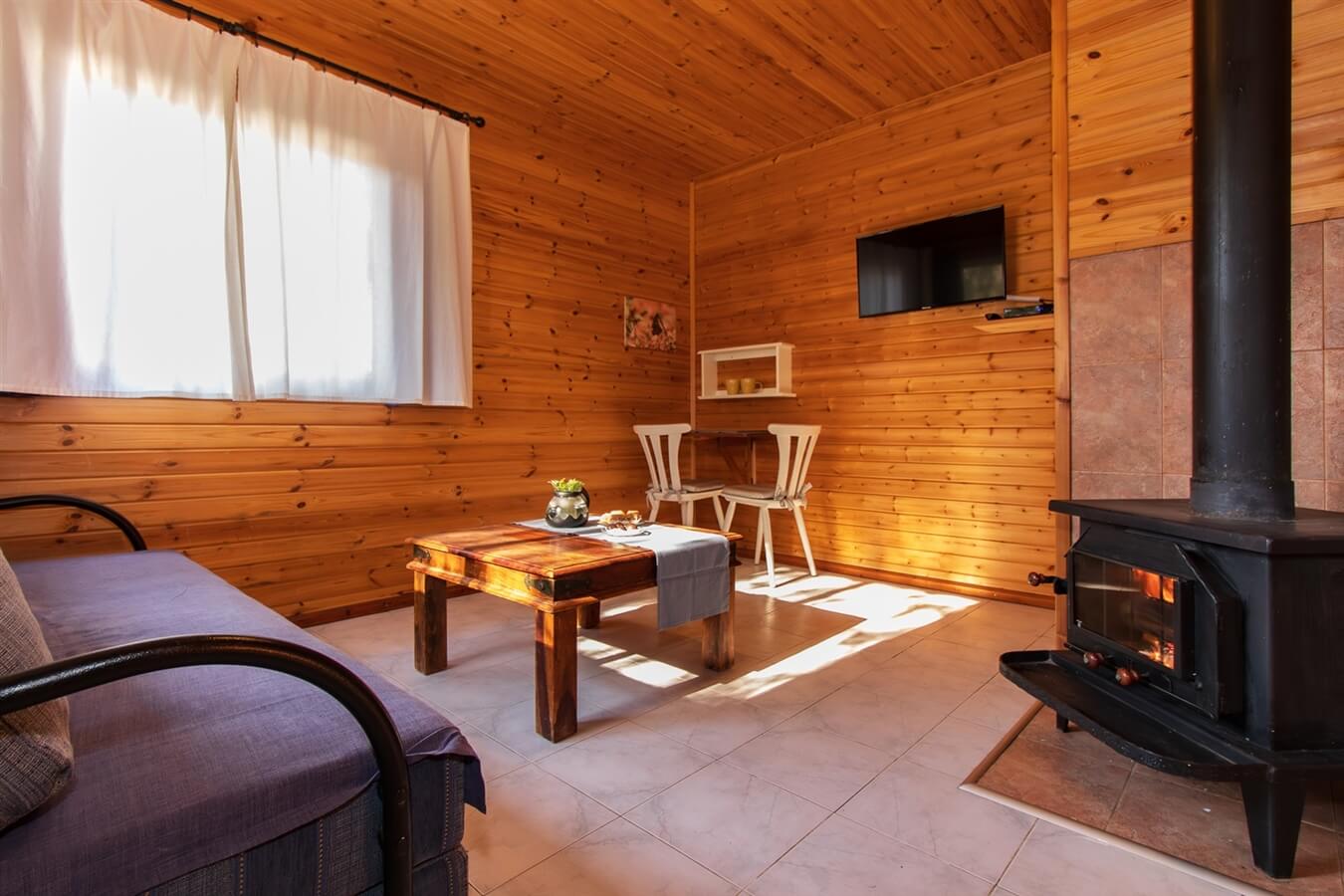 תמונה של בתי העץ המשפחתיים - 2