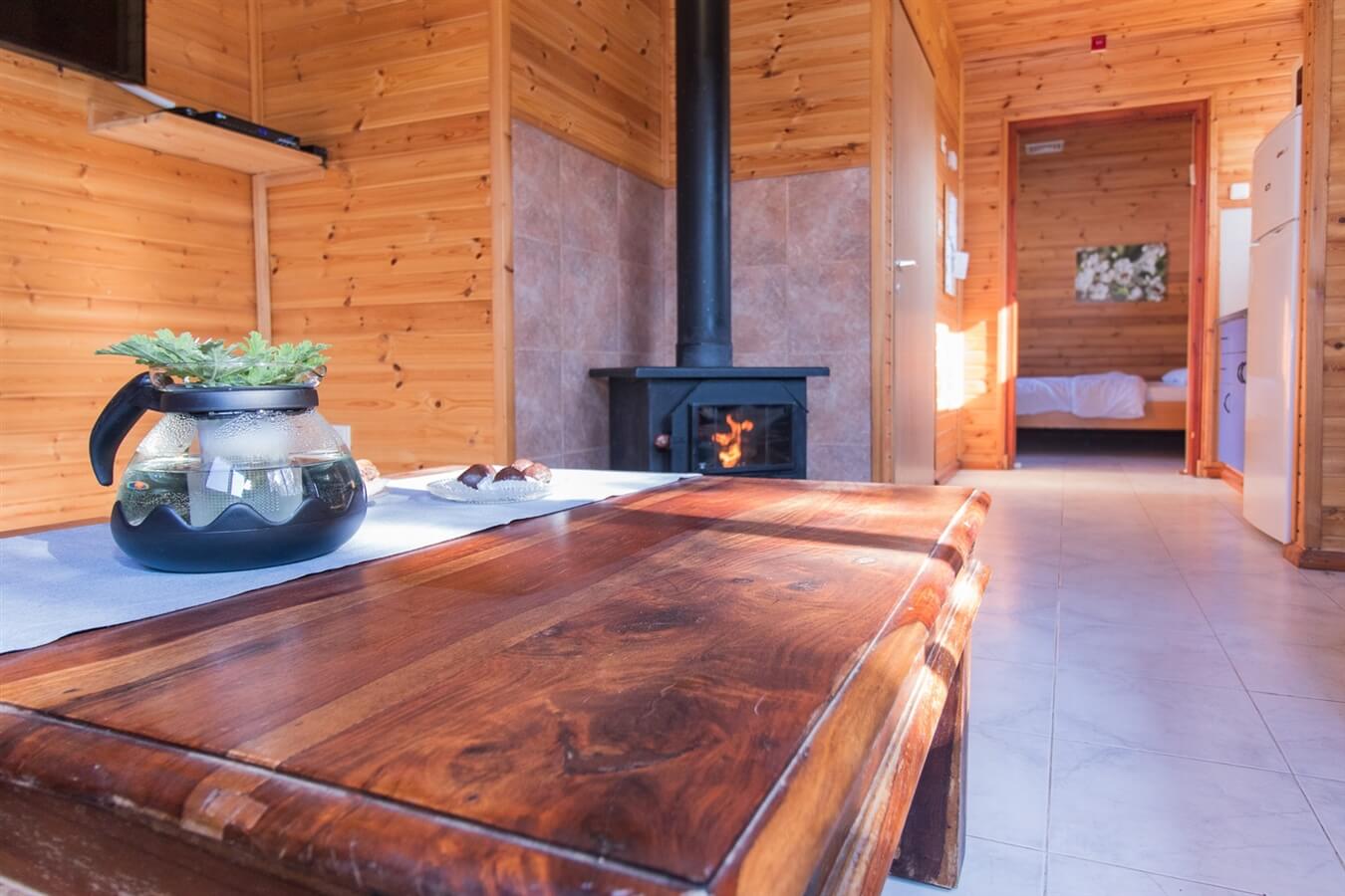 תמונה של בתי העץ המשפחתיים - 7