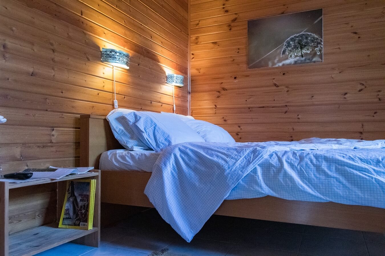 תמונה של בתי העץ המשפחתיים - 3