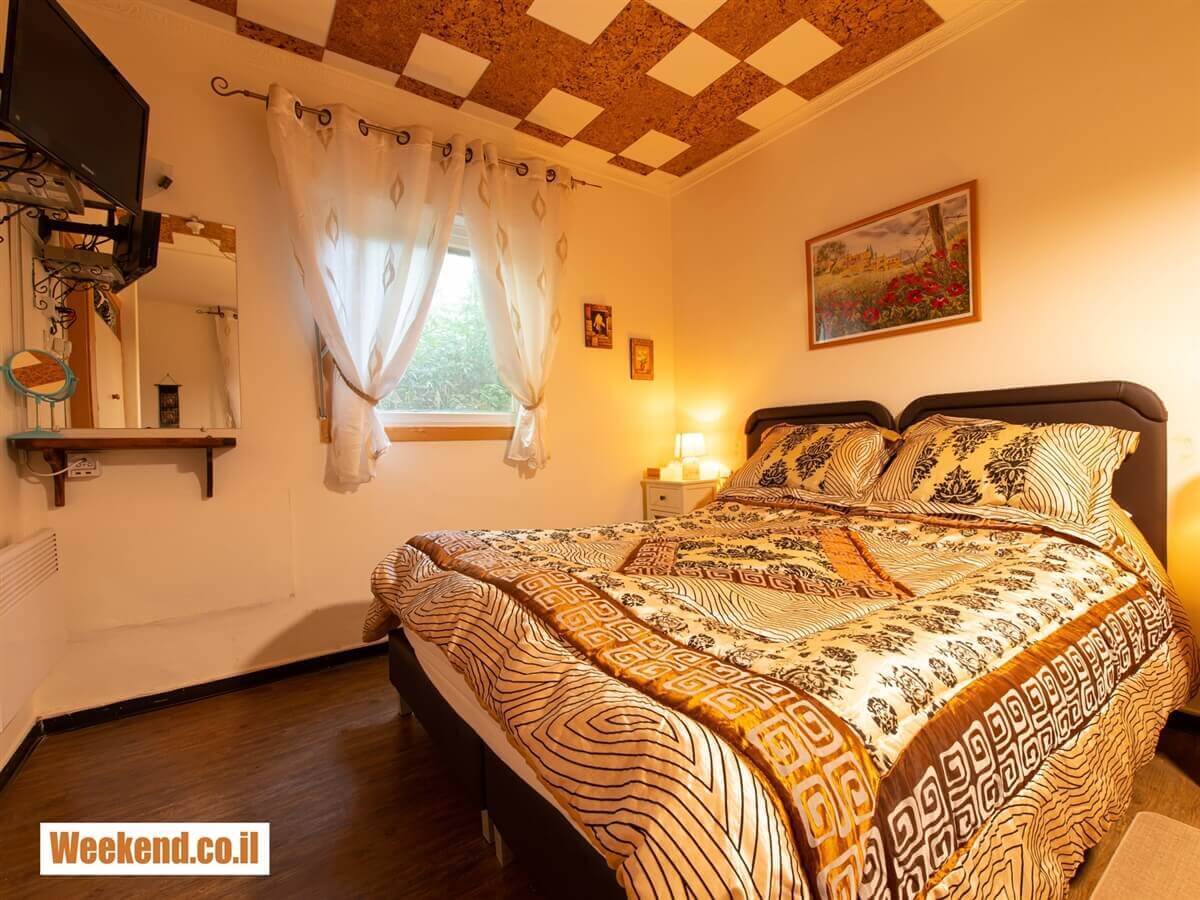 תמונה של סטנדרט + - 4