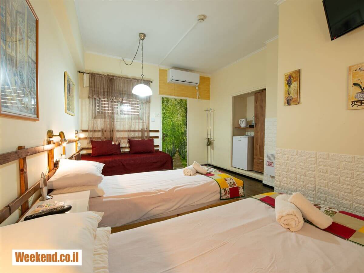 תמונה של סטנדרט - 4