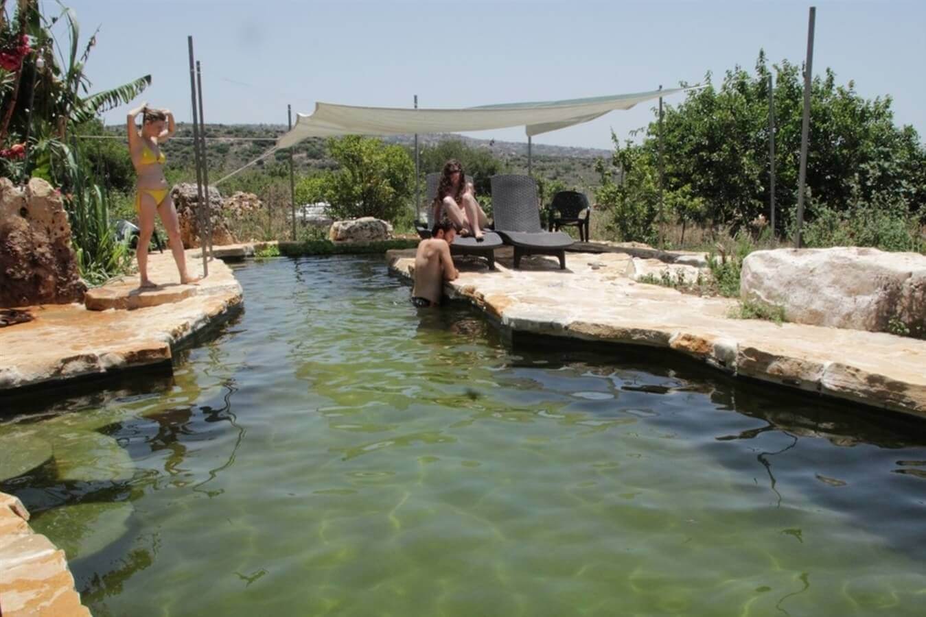 תמונה של היורט - 9