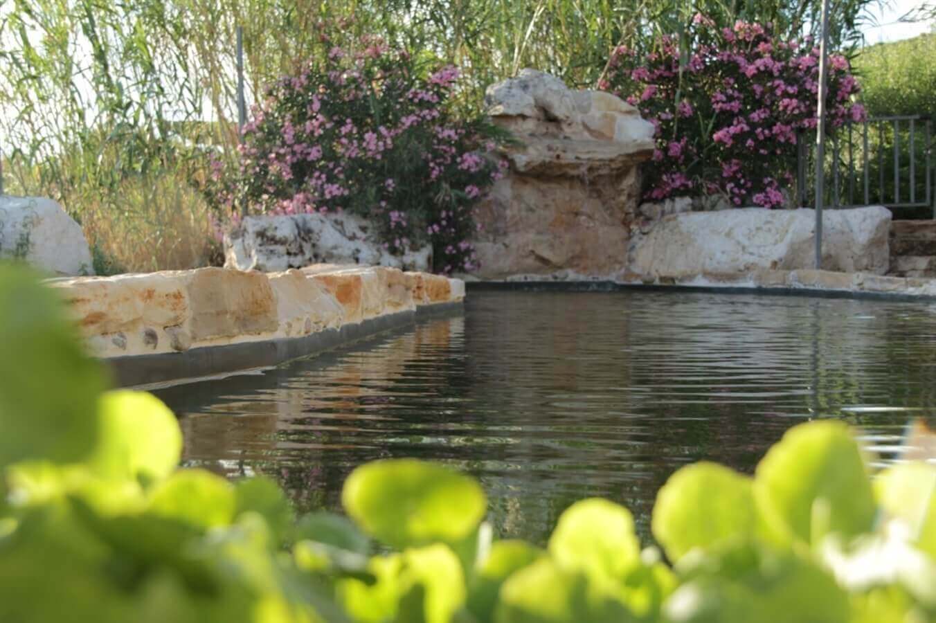 תמונה של היורט - 10